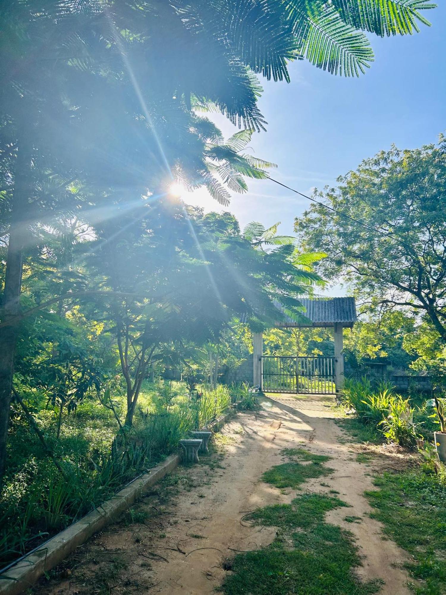 טיסמהרמה Neem Holiday Bungalow Yala מראה חיצוני תמונה